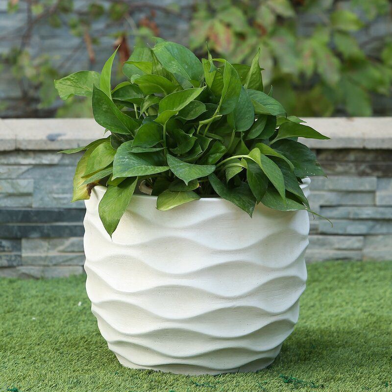 1Wavy+MgO+Pot+Planter (2)(001)